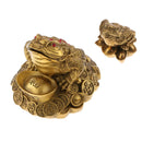 3 Legged Feng Shui Fortune Wealth Chinese Toad Coin Ornaments Lucky Gifts S