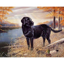 5D DIY Full Drill Diamond Painting Animal Cross Stitch Embroidery (W0103)