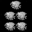 500x Plastic Transparent Coin Capsules Dust-proof Storage Box
