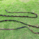 2X Hanging Hammock Tree Strap Rope Adjustable Heavy Duty Extension Belt  WNT