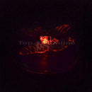 Solar Power LED RGB Color Change Floating Night Light Path Pool Pond Lamp New *