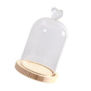 Decorative Glass Dome with Wooden Base - Cloche Bell Jar Display DIY 15cm