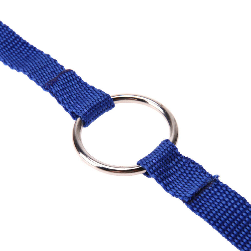 Nylon Double Dual Two Pets Dogs Leash 2 Way Coupler Walk Necklace(Blue)
