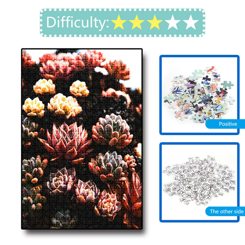 1000 Pieces Adults Kids Paper Jigsaw Puzzles Fleshiness Assembling Picture