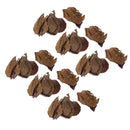 60x Aquairum Leaves Catappa Leaf for Fish Tank Water Quality Betta Natural