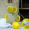 1.5M 10Led Lemon LED String Light Warm White Garden Decor Lamp Christmas Ho