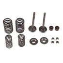 KibbleWhite Precision Intake Only Stainless Conversion Valve/spring kit