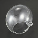 1Pc Cute Home Fashion Lantern Shape Clear Glass Flower Plant Hanging Vase P