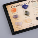 12 Small Polished Gemstones of the World in a Mini Display Case Gift