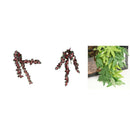 3 pcs Reptiles Vine Jungle Climber Vines Terrarium Habitat Ornament