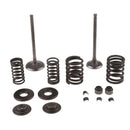 Upgraded High RPM Engine Valve Springs with Stem Seals 250CC for Scooter