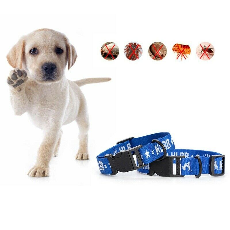 Dogs Cats for 4-Month Effective Anti Fleas & Ticks& Mosquitoes Pet Collar F