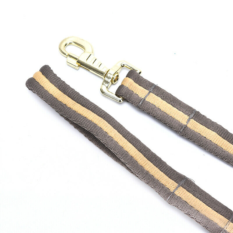 8M Horse Lunge Line Large Dog Training Lead Webbing Equestrian Horse Rope Po Gw