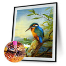5D DIY Full Drill Diamond Painting Happy Bird Cross Stitch Craft (B999)