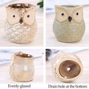 Mini Succulent Plant Pots, Small Ceramic Glazed Flower Desktop Table Planter