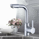 Single Handle Kitchen Sink Mixer Tap Water Spout Filter