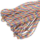 Parachute Cord with 7 strands, 550 lbs, 100 ft.Rainbow