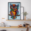 Part Drill Special-Shaped Diamond Painting DIY Mosaic Kit (D1106 One Owl)