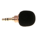 Mini 3.5mm Microphone Mic For Smartphone Mobile Phone Recording 3.5 MM Double