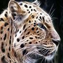 Diamond Painting Kits Tiger Full Round Drill Handicrafts Home Art (B2312)