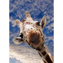 5D DIY Full Drill Diamond Painting Cross Stitch Embroidery (Giraffe-k565)