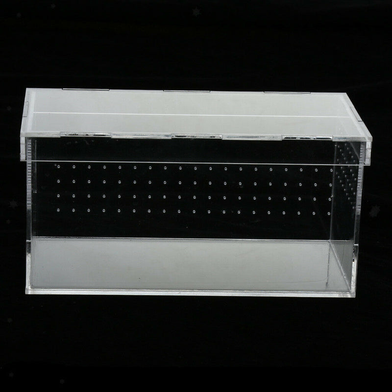Clear Acrylic Reptile Terrariums Plant Feeding Tank Insect Breeding Box