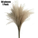 50Pcs Dried Flower Natural Phragmites Pampas Grass Wedding Bunch Bouquet Kit
