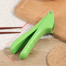 Stainless Steel Manual Garlic Press Crusher Ginger Mincer Kitchen Tool GadgS Hn