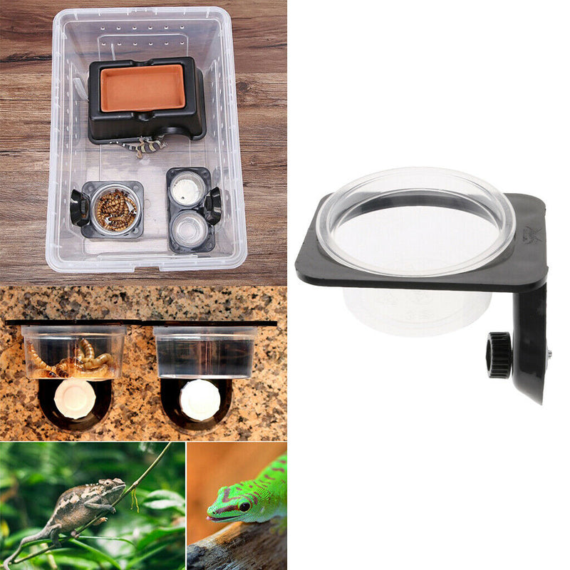 1Pcs Reptile Feeding Bowl Screw Food & Water Dish For Gecko, Lizard, Etc.