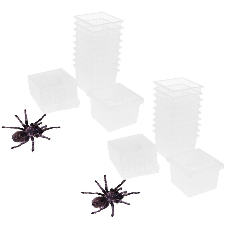 20x Transparent Box Insect Reptile Transport Breeding Live Food Feeding Box