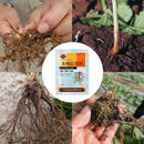 Plant fast rooting powder strong germination aid rapid Hot growth K0Q8