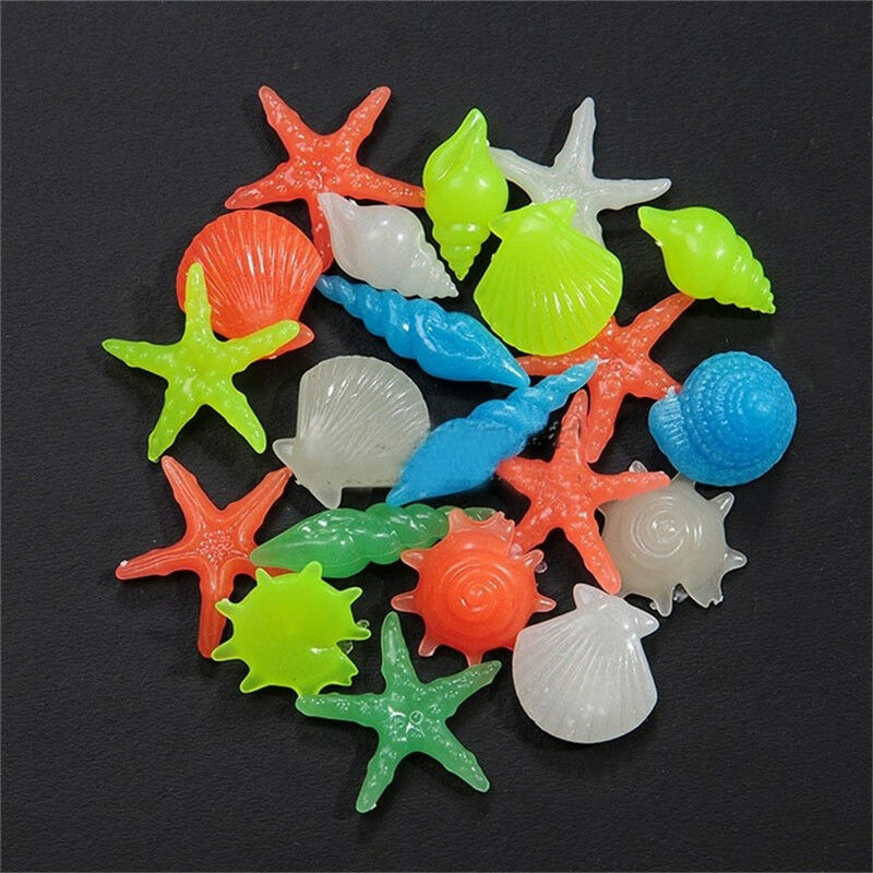 10PCS Glows in the Dark Luminous Stones Conch Shells Aquarium Fish Tank Decor BX
