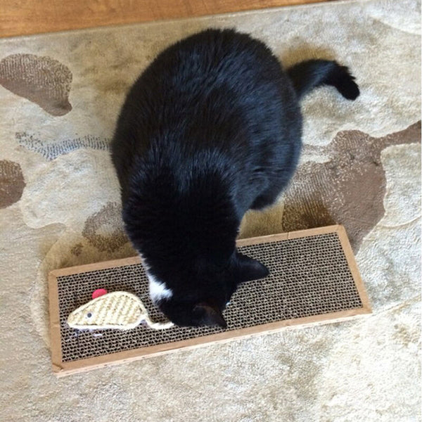 Pet Cat Scratching Board Scratcher Mat Post Pole Bed Pad With Catnip Toys Funny