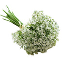 White Plastic Hand-Painted Starry Night Primrose Artificial Flower Home Dec