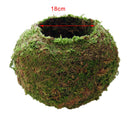 2 Pieces Moss Ball Shape Flower Vase Flower Pot, Creative DIY Gardening Potted