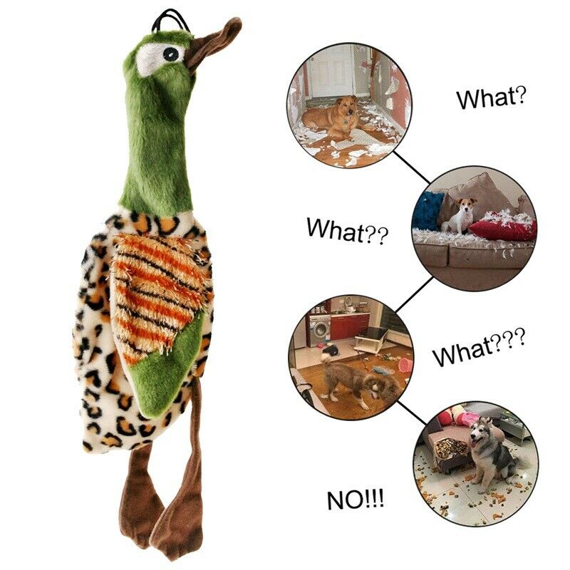 Pet Dog Puppy Cute Squeak Plush Bird Stuffing Interactive Sound Play Toys-G S9C4