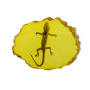 1X(Yellow Amber Gecko Amber Ornaments For Real Insect Specimens