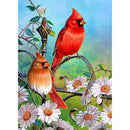 5D DIY Full Drill Diamond Painting Birds Cross Stitch Embroidery (B343)