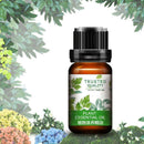 Plant Nourish Massage Essential Oil Promotes Metabolic Essential Antibacter B9F5
