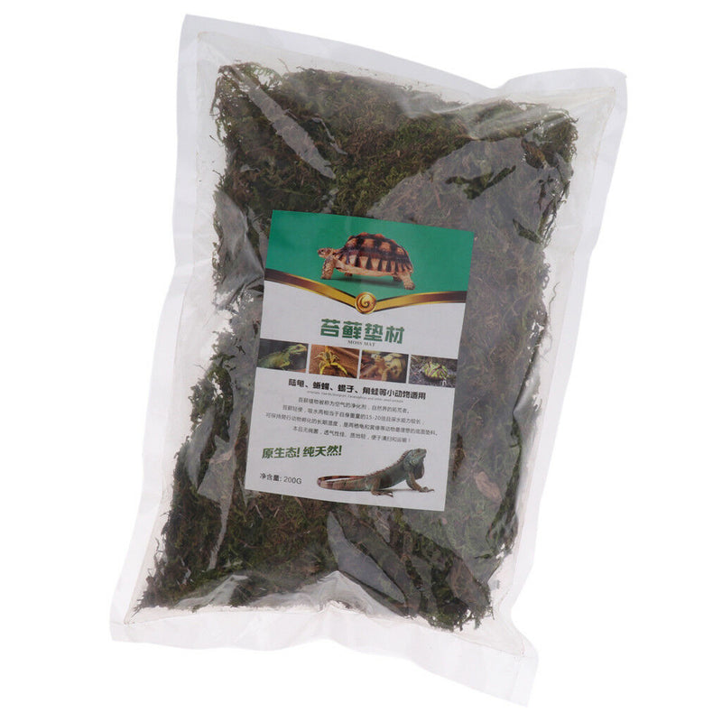 Reptile Supplies Natural Green Moss Controls Tropical and Wetland Humidity
