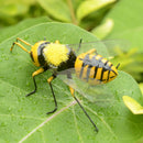 30x Bee Summer Insect Statue Tree Lawn Ornament Animal Sculpture Decor Gift