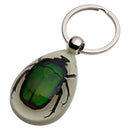 Glow-In-The-Dark Real Insect Keychain (Green Chafer)