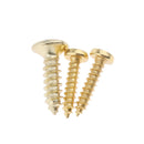 Golden 6 String Guitar Tailpiece Bridge for Hollowbody Archtop Guitar Parts