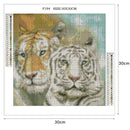 5D DIY Diamond Painting Full Square Drill Cross Stitch Home Art (Animal09)