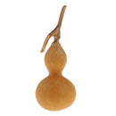 Small Natural Dried Gourds Table Ornament Home Decoration DIY Floral Crafts