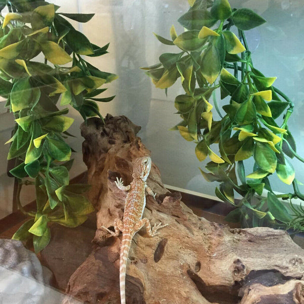 3 Pcs Reptile Habitat Decoration, Yellow Green Leaves Artificial Plant by 1.64ft