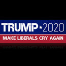 10 Pack Donald Trump Car Bumper Stickers 2020 Make Liberals Cry Again Wholesale