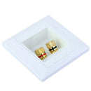 Home Theater Speaker 2 Binding Post Banana Plug Sound Audio Wall Face Plate