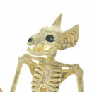 Bat Skeleton Hanging Upside Down Halloween Animal Prop B5O4 Decor House Hau X9T2