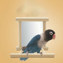 Bird Mirror & Perch Wooden Interactive Bird Toys Budgie Canary Cockatiel Finch L